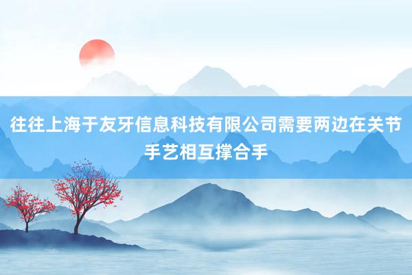 往往上海于友牙信息科技有限公司需要两边在关节手艺相互撑合手